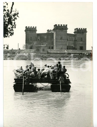 Photo Vintage 1957 – Vignoble Polesine Camerini Et Inondation à Rovigo