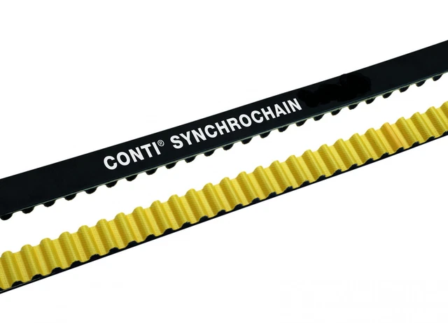 Correa De Distribución Síncrona D&D DURA-SYNC 1200-8M-62 – 1200mm X 62mm, Paso 8M