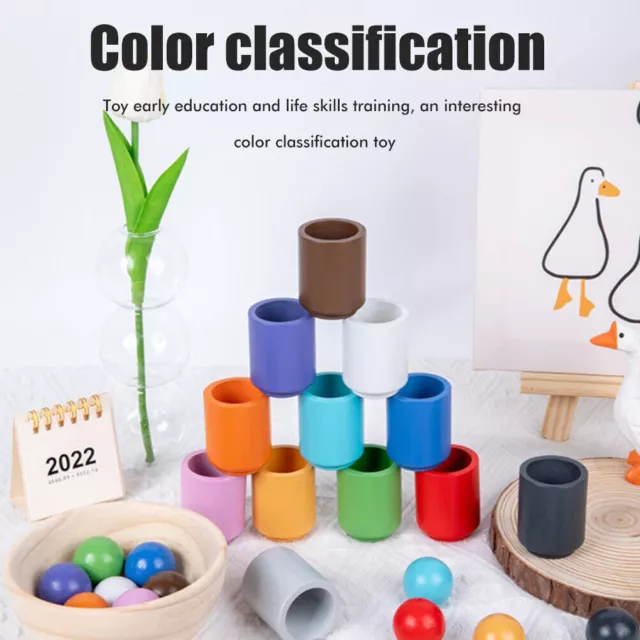 Wooden Rainbow Balls in Cups Montessori Toy Fine Motor Early Education Toys Set 3