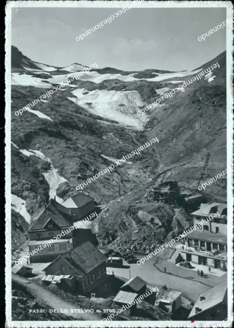 cm434 cartolina passo dello stelvio provincia di sondrio