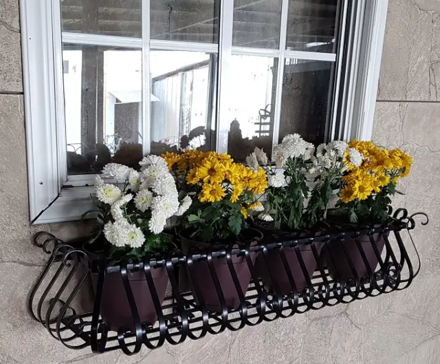 36" window box wrought iron