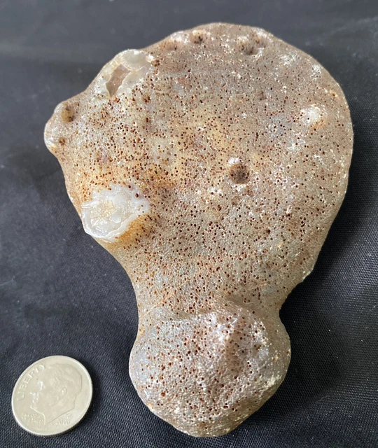 Rare Rough Botswana Agate whole nodule “THE HOT AIR BALLOON” 6.7 Ounces B5