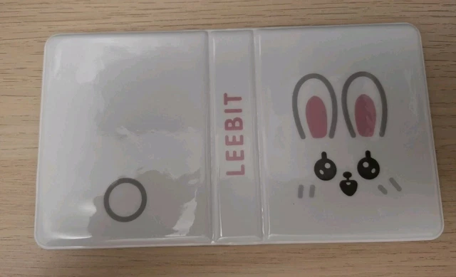 Lee Bit Sticker STRAY KIDS SKZOO Leebit Lee Bit Lee Know Photocard Photo Card Album £5. ...