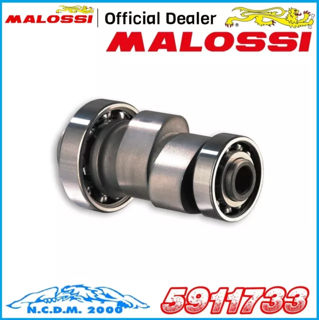 Albero A Camme Power Cam Malossi  Piaggio X9 250 4T Lc (Honda)