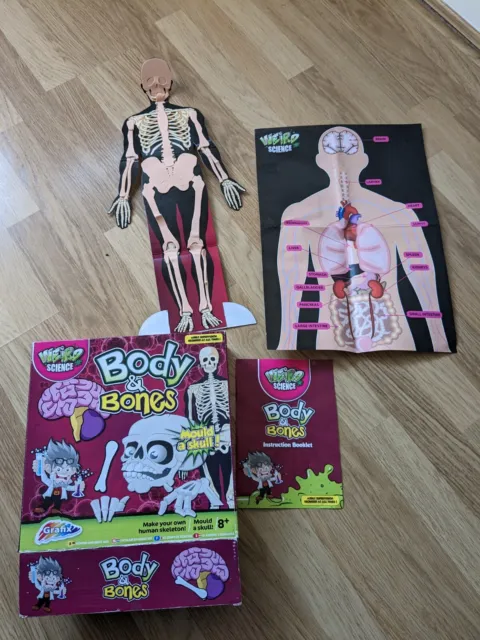 Body & Bones Science Set Craft Kit USED  Weird Science Human Body POSTERs only