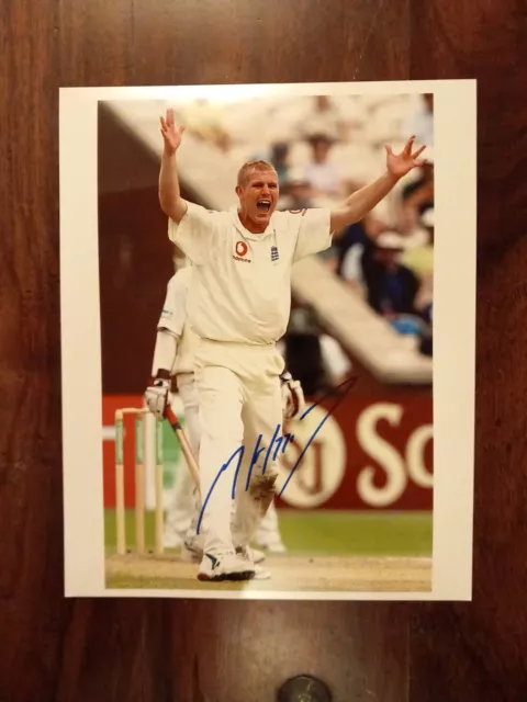 Matthew Hoggard Yorkshire England Cricketer Hand Signed Photo 10x8