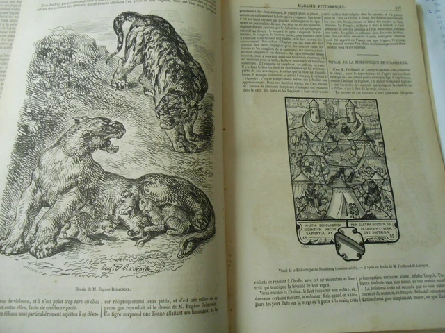 Lionne et Lionceaux Tigre Delacroix Vitrail Strasbourg Gravure Print 1853