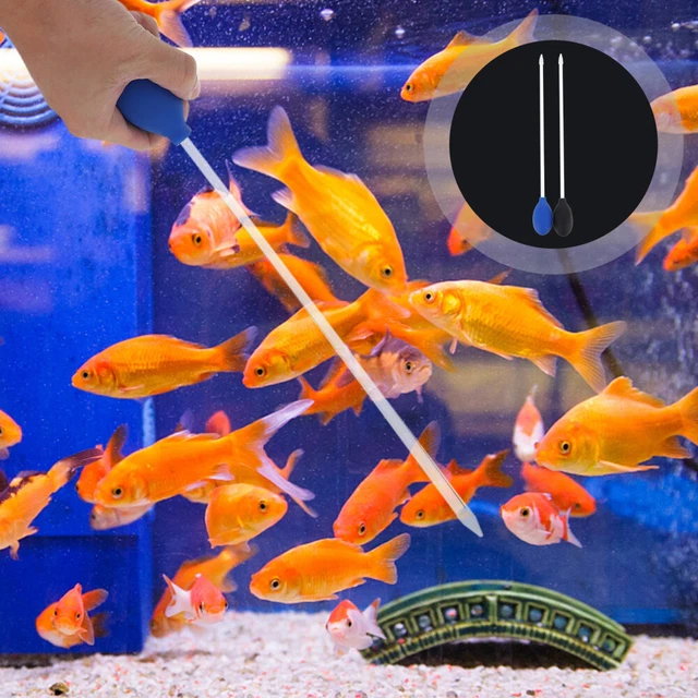 2 pz contagocce per acquario alimentatore automatico per gamberetti vasca per tartarughe acrilico
