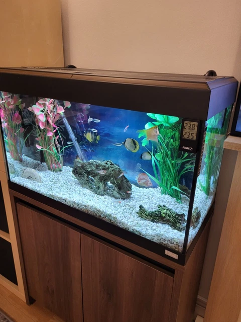 Used Fluval Roma 125 Aquarium Fish Tank with Cabinet 3