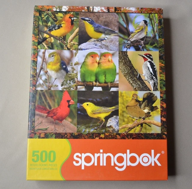 Springbok Jigsaw Puzzle Songbird Symphony 500 Piece 20" x 20" Birds