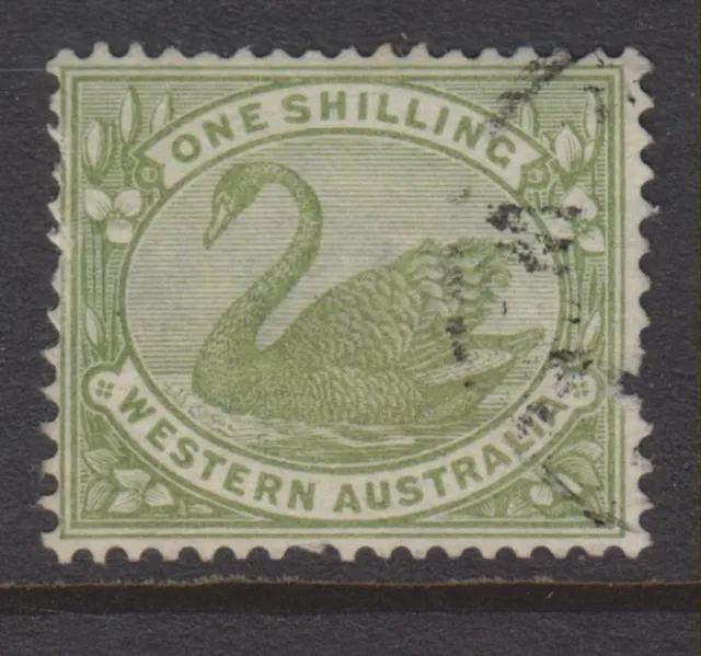 1898 - 1907 - Western Australia - 1/- Olive Green Swan - P.14 -Fu - Sg116- W561B