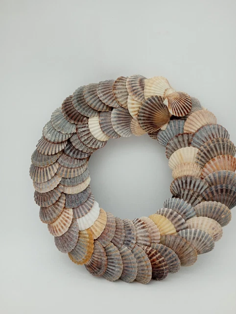 Double Row Scallop Shell Wreath 13" Across