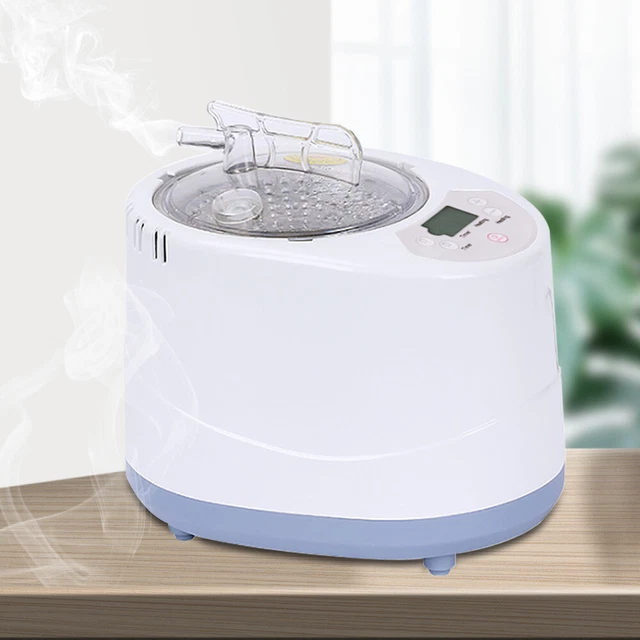 Sauna a vapore dispositivo a vapore sauna a vapore macchina a vapore cura della pelle 220 V 3 L 1 KW portatile