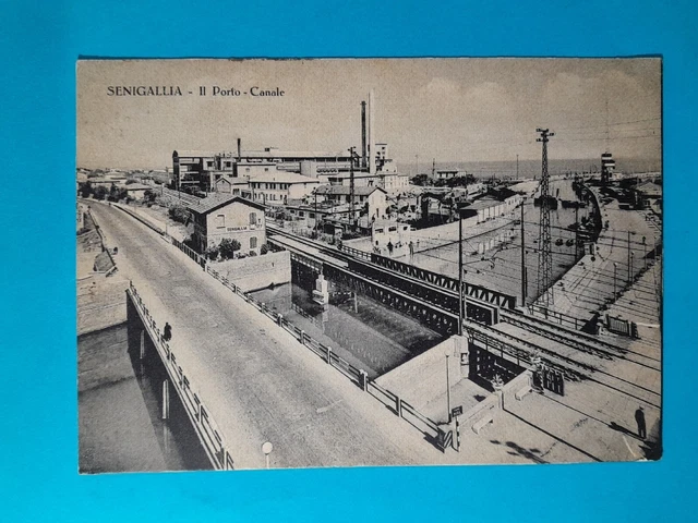Senigallia 1954 " Il Porto Canale" Annullo *B* Ancona/Bologna