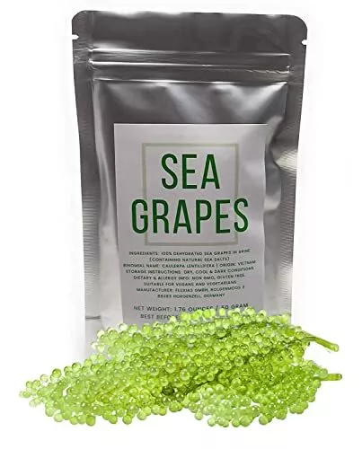 Sea Grapes  Delicious Green Caviar Seaweed - Dehydrated Seagrapes in Brine