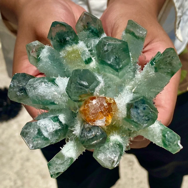 1.2LB New Find Green Phantom Quartz Crystal Cluster Mineral Specimen Healing 12