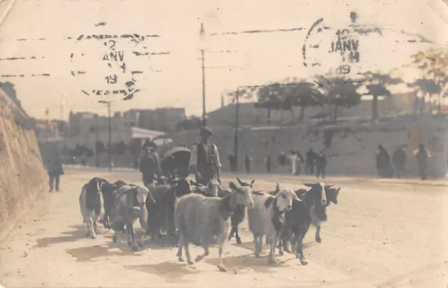 Cpa Malte Carte Photo Situee A Malte Avec Un Chevrier