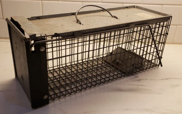 vintage Havahart Extra Small 1-Door Humane Catch and Release Live Animal Trap