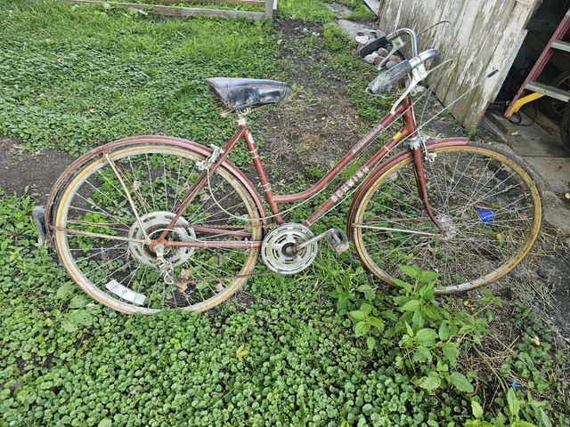 Vintage Schwinn Suburban Bicycle