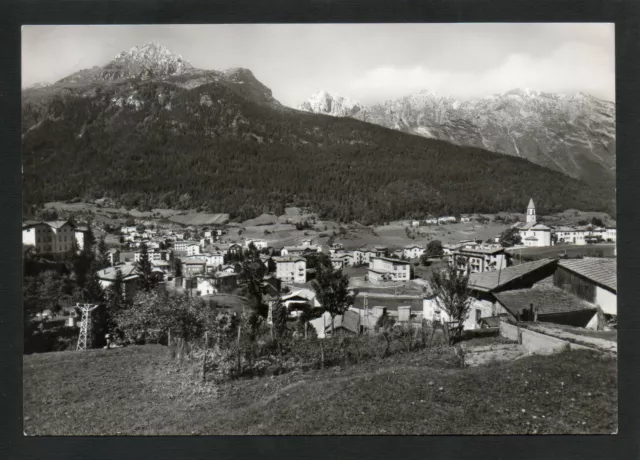 Cartolina Andalo Trento  Panorama Dolomiti Di Brenta Fg Vg 1963