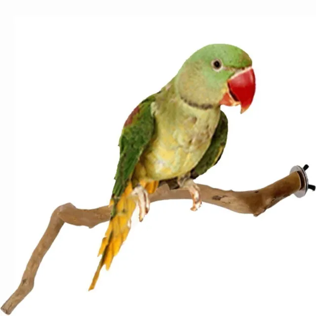 Vogel Steht für Käfige Papagei Käfig Zweig Vogel Hängematte Spielzeug