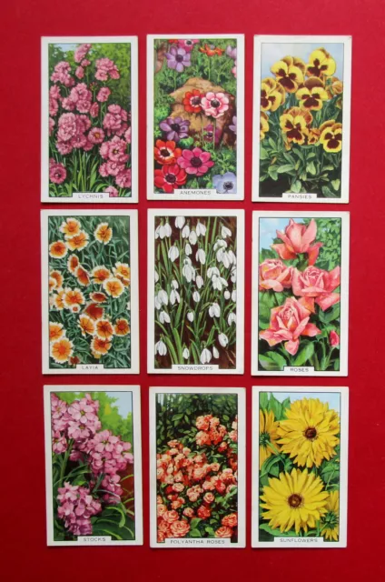 GALLAHER 9 VINTAGE 1938 CIGARETTE CARDS GARDEN FLOWERS  FOR No's  SEE PICTURES