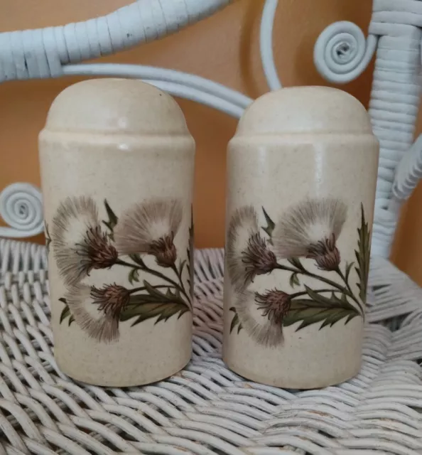 ~*Johnson Of Australia Vintage Thistle Design Salt & Pepper Shakers - EUC*~