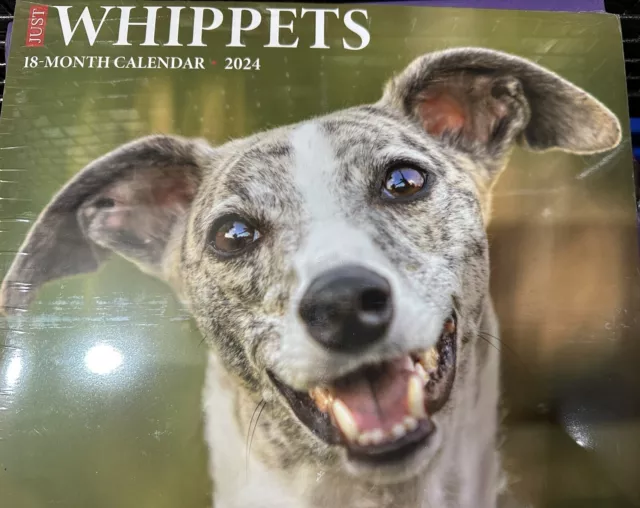 Whippet Dog Calendar 2024 Large Square Wall Calendar. New/Sealed.
