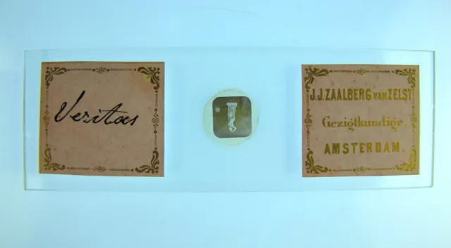 Antique microscope slide by J.J Zaalberg Van Zelst. Microphotograph. 'Veritas'.