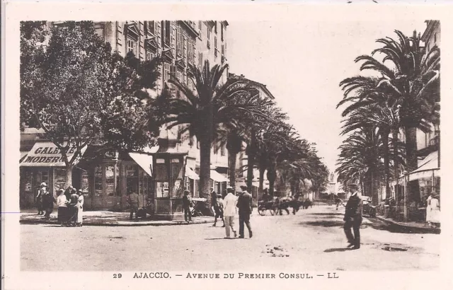 CPA - Ajaccio  - Avenue du Premier Consul