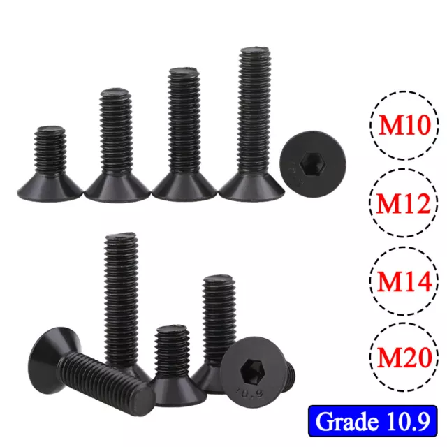 M10 ~ M20 Hex Socket Countersunk Screws Flat Head Bolts Grade 10.9 Steel DIN7991