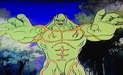SWAMP THING CARTOON Tv Show VHS Sold As Blank With Commercials 1991 $24