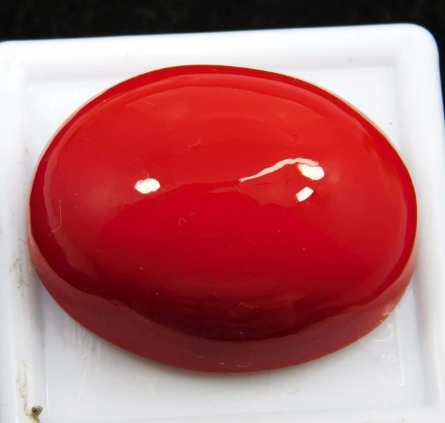 Cabochon De Corail Rouge Naturel Italien - Pierre Précieuse Non Traitée - Pour Bijoux