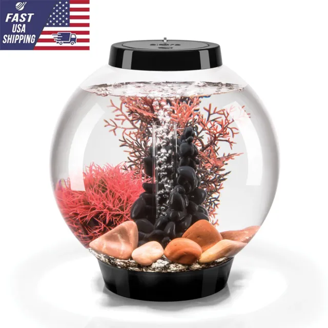 Aquarium with All Decor and Accessories Included White LED Light 4 gallon Black