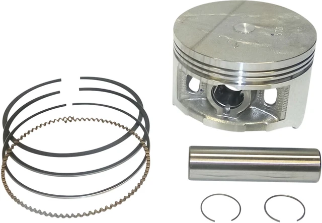 WSM Piston Kit 50-220-06K
