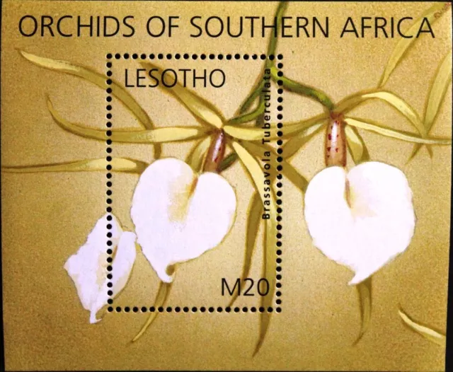 LESOTHO 2002 Block 190 Orchideen Orchids Blumen Flowers Plants Pflanzen MNH