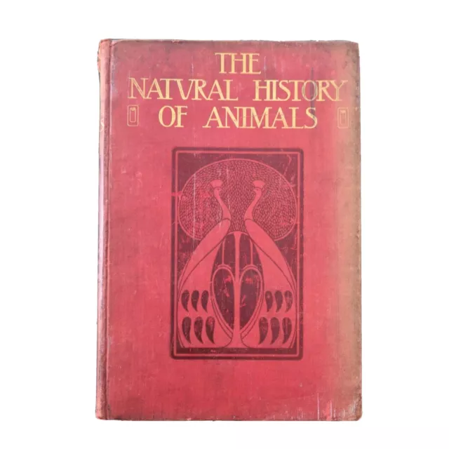 The Natural History Of Animals (Hardcover 1904) J.R. Ainsworth Davis Half Vol 6