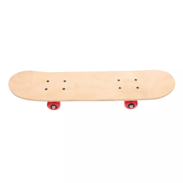 Skateboard Standard Longboard Outdoor Gifts for Adults Blank