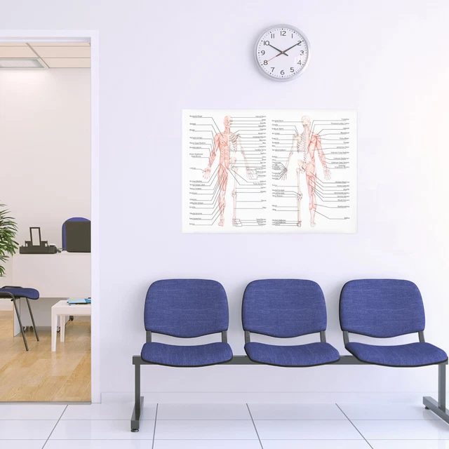 POSTER HUMAN BODY Posters Wall Chart Anatomy Physiology Draw Core £6.12 ...