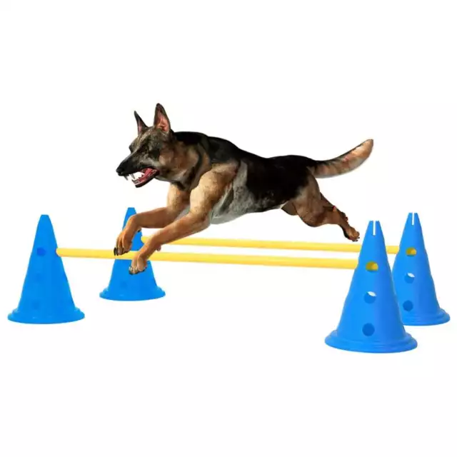 URBNLIVING Ensemble de bâtons de dressage d'obstacles pour chien -  Équipement portable - Bâtons d'agilité (ensemble de slalom)