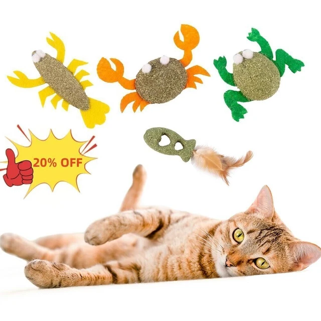 Catnip Stick Cats Mint Snack Pet Ball Interactive Toys B0 2023 For Cat A2 D6T0