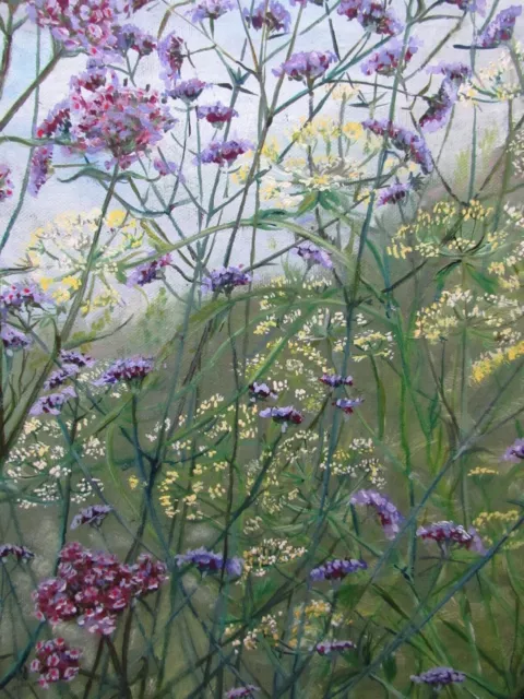 Verbena & Parsley Flowers English Garden ORIGINAL DEVON ART Framed Canvas Print 3