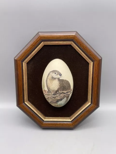 Otter Painting On Real Eggshell Plaque Picture Wild Animal Handmade