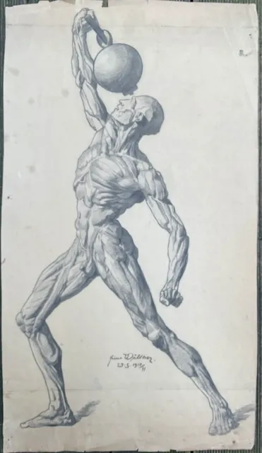 Hans Walther Erfurt Männerakt Anatomie signiert 1910 Meisterzeichnung Athlet
