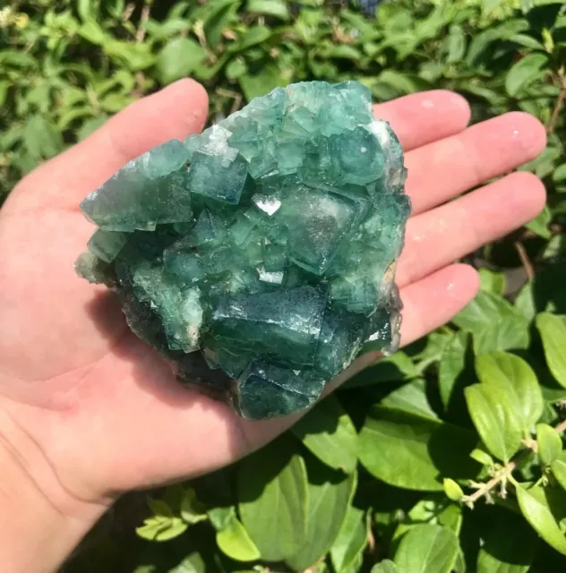 Natural Green Fluorite Cluster Healing Crystal Minerals Quartz Home Decor Gift