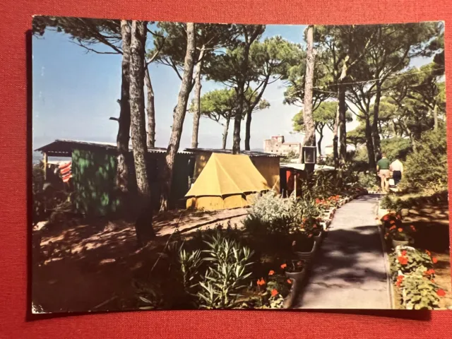 Cartolina - Litoranea Piombino Follonica - Camping di Torre Mozza - 1965 ca.
