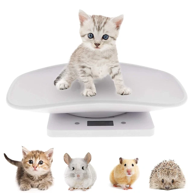 Bilance per animali domestici, bilance per cani capacità 10 kg digitale neonato bilance cucciolo display LCD Pe
