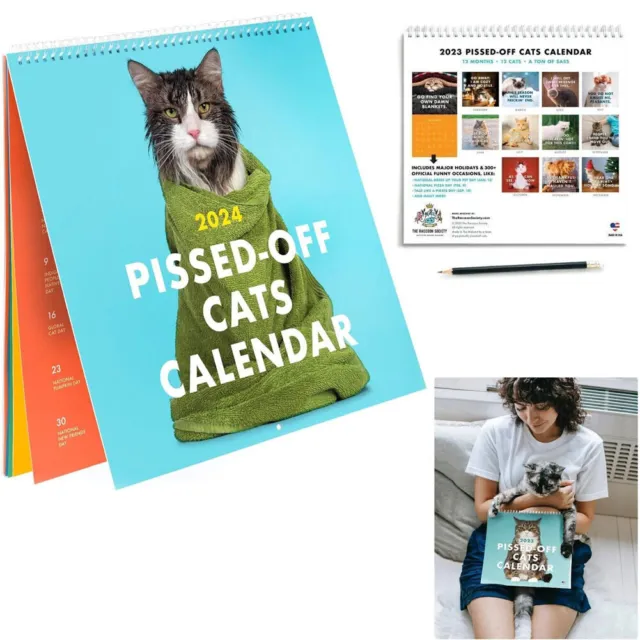 2024-pissed-off-cats-calendar-funny-cat-wall-calendar-12-months-12-cats-new-14-55-picclick
