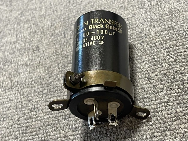 Rubycon BLACK GATE SKZ 350V 220uf - 220uf 電解コンデンサ 1本