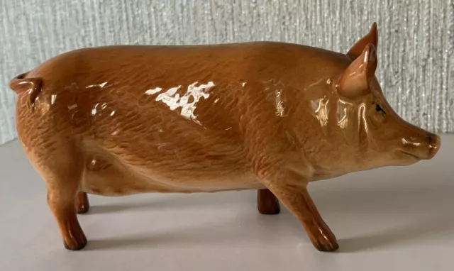 ROYAL DOULTON  PIG  TAMWORTH PIG MODEL No. DA 215 GLOSS FINISH PERFECT